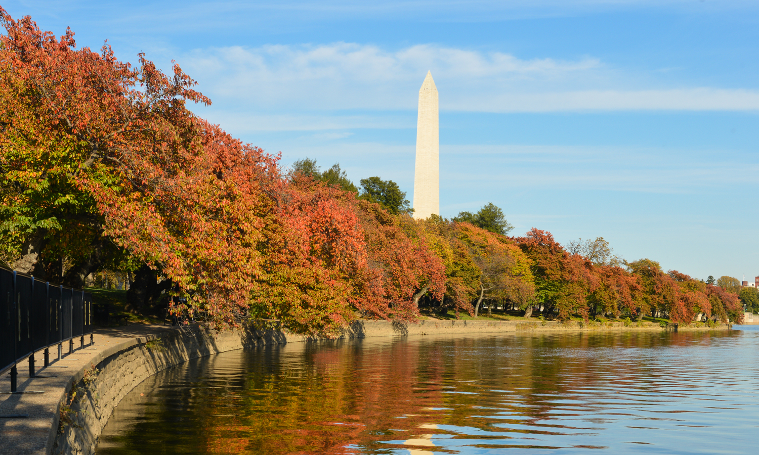 Patents, Privacy, and (AI) Policy: U.S. Policy Update