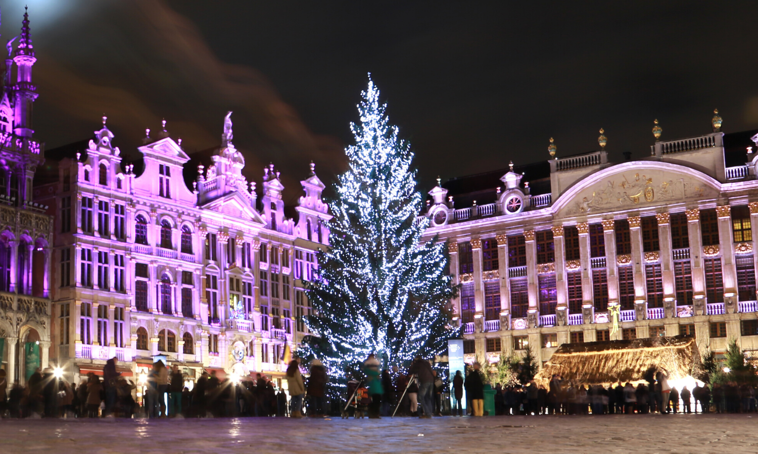 Curbing Terroristic Content, Green Initiatives, and Privacy Issues End 2019