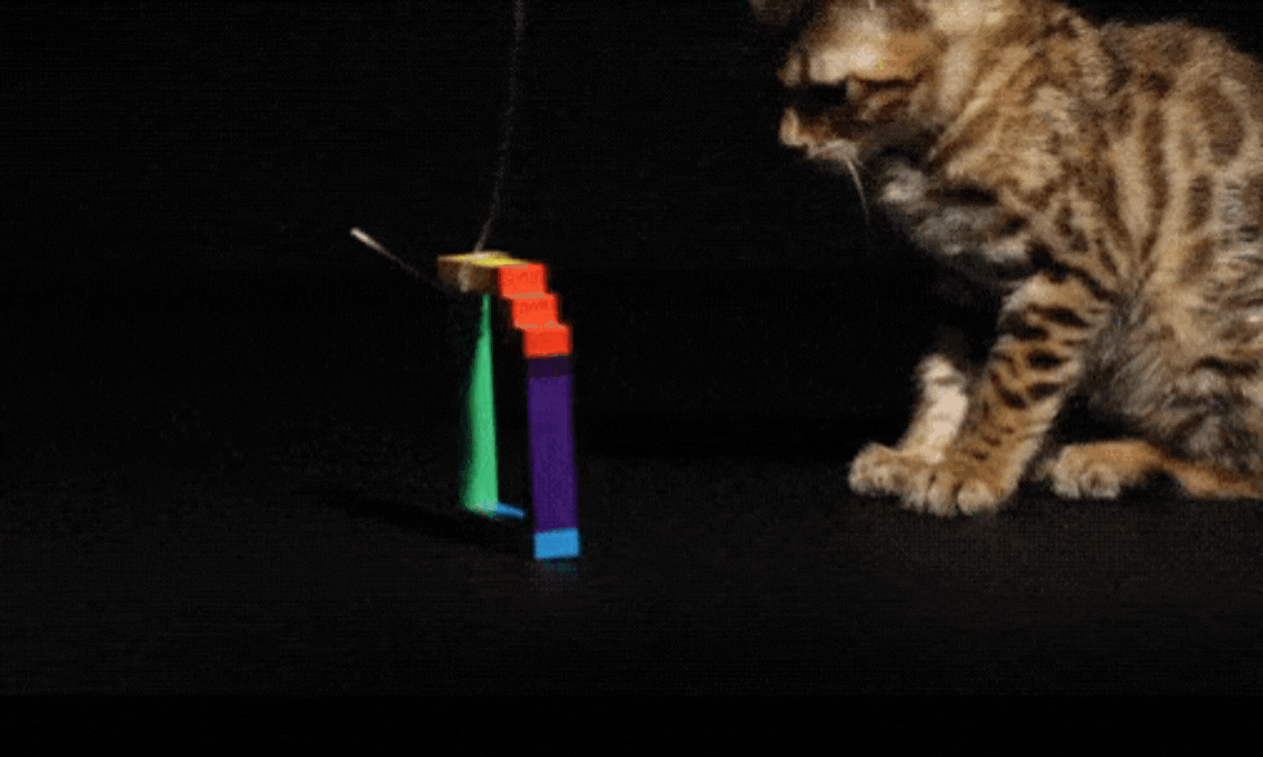 The Alliance Takes On The British Bureaucracy